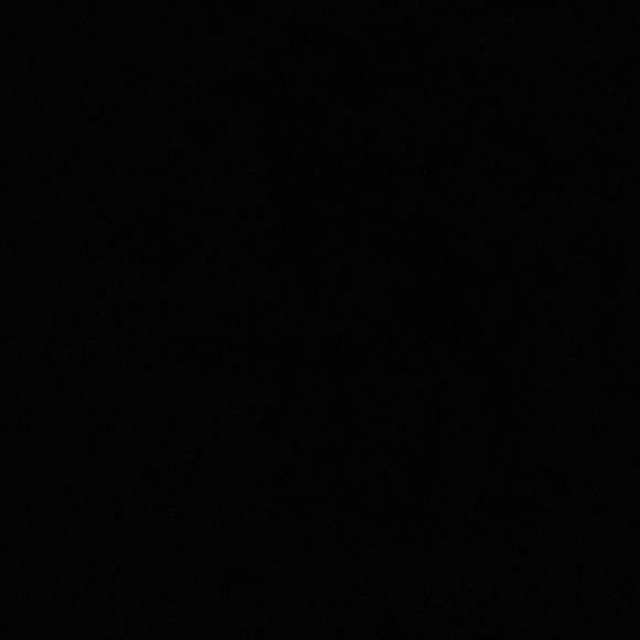 Meet your Posher, Cody - Picture 1 of 1